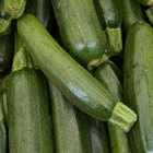 Cómo cortar y preparar el zucchini
