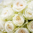 Cómo hacer un arreglo floral redondo