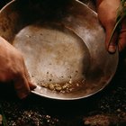 Actividades de minería de oro para niños en Georgia