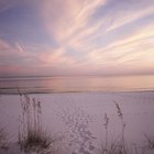 Acampando en las playas costeras del Golfo en Florida