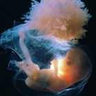 Mid adult man holding his baby
