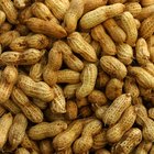 Como torrar amendoins com casca e tempero