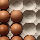 Huevos blancos versus huevos de color