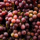 Sinais de má qualidade em uvas