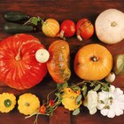 autumn fruits in white background