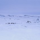 Herramientas de la tribu Inuit