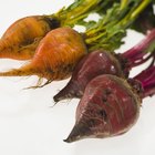 Grilling beetroots