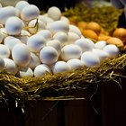 ¿Qué tipos de huevos existen?