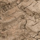 Principales tipos de erosión del suelo