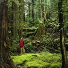 Problemas que pueden suceder en una selva