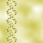 How to Calculate Recombination Fraction
