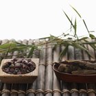 Cómo empezar otra planta de bambú de una que ya existe