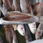 Sprat, capelin fried in a pan