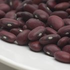 Dry red adzuki beans, macro, selective focus