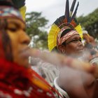Poblaciones indígenas en peligro de extinción