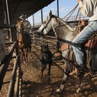 ¿Cómo hago reservas para camping en el Abilene State Park en Texas?