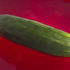salted cucumber