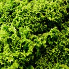 Hispanic woman chopping salad greens