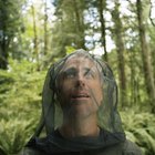 Excursionismo (hiking) en Washington: Mantente a salvo de los insectos