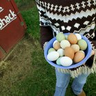 Woman holding trays of eggs, mid section, close-up