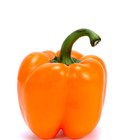 Los efectos principales del fertilizante en pimientos dulces