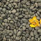 Cómo hacer un paisaje con rocas, piedras y plantas