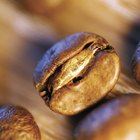 Cómo tostar los granos de cacao sin cáscara