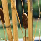Como limpar persianas de bambu