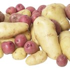 A batata asterix é mais saudável do que a inglesa? 