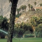 Campos de golf con mejor puntuación en Palm Springs