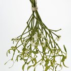 Spray para el cabello como conservante de flores y follaje