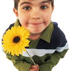 Artesanato para crianças: Marca-página de flores secas