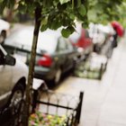 Danos ao revestimento do carro, causados pela seiva das árvores 