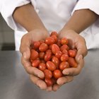 Cómo germinar tomates cherry