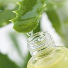 Aloe Vera use in spa for skin care