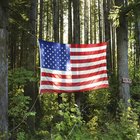 Actividades para niños en Federal Way, Washington