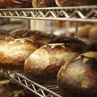 Quais sinais deverão ser observados quando mofo está se formando sobre o pão?