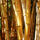 Cómo cuidar una tabla para cortar de bambú