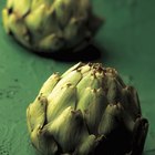 artichokes green background