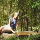 Como cuidar de um bambu que está morrendo