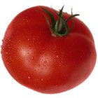 O que é um tomate maçã?