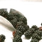 Close-up shot of blueberries on a wooden surface