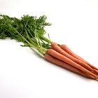 Tipos de zanahorias