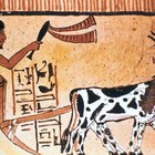Herramientas agrícolas del antiguo Egipto