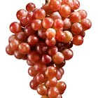 ¿Qué frutas y verduras contienen resveratrol?