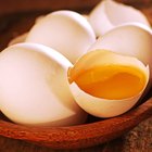 Gema de ovo faz bem para cães?