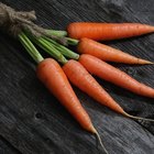 Closed Up Image of Carrots, Green Asparagus and Cucumbers, High Angle View, Differential Focus