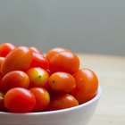 Tomato sauce in a white bowl and fresh tomatoes
