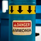 ¿El amoniaco de los productos de limpieza mata a los gérmenes?