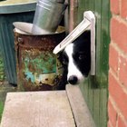 Cómo construir una puerta para perros